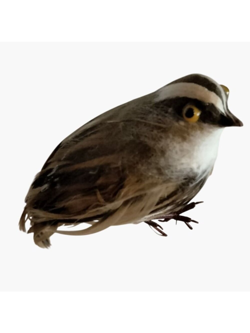 Faux Bird Quail Small Baby Real Feathers Craft